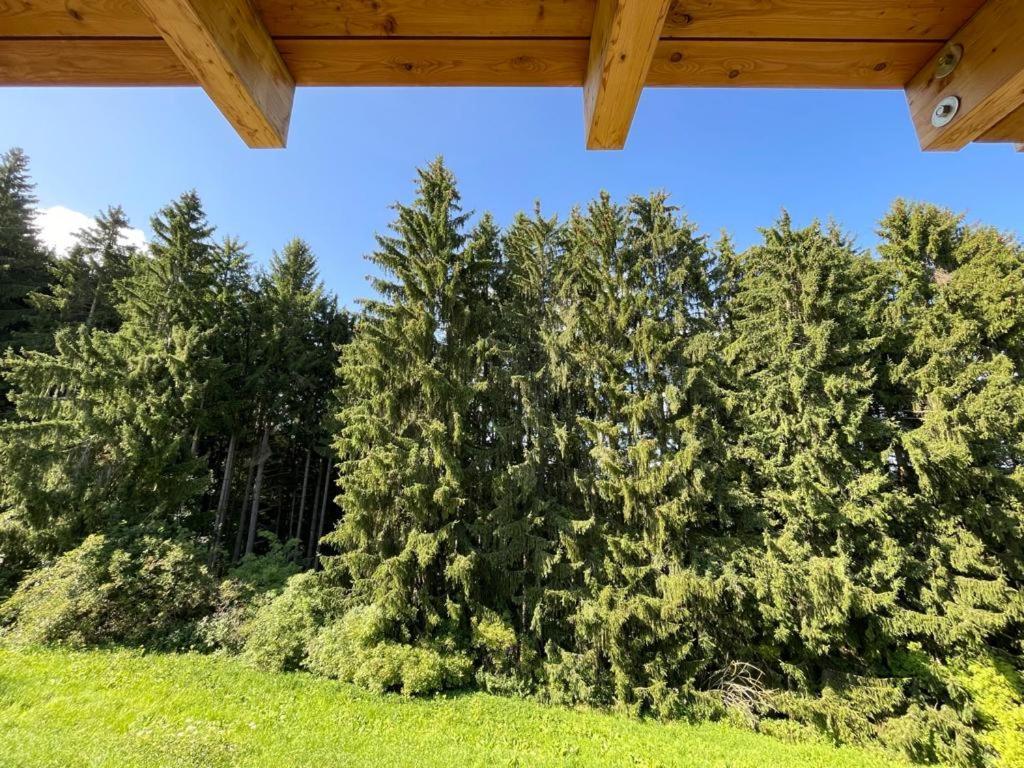 Apartments In Blockhaus Im Wald Siegsdorf Exterior photo